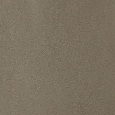 Kasmir BY DESIGN        TAUPE           